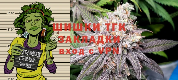 гидра Гусев