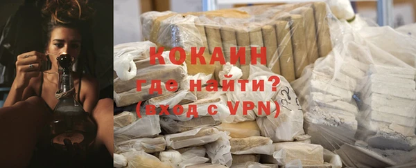 прущие грибы Гусь-Хрустальный
