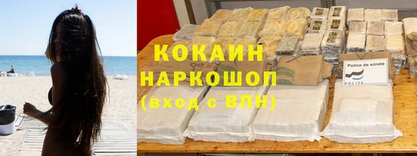 прущие грибы Гусь-Хрустальный