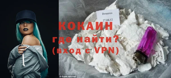 индика Михайловка