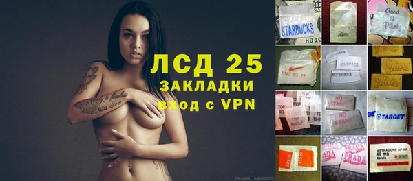 прущие грибы Гусь-Хрустальный