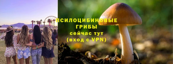 гидра Гусев