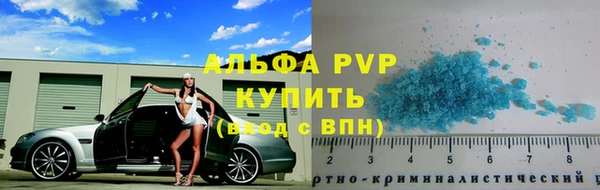 гидра Гусев