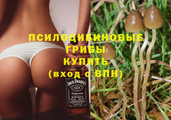 кокаин колумбия Новозыбков