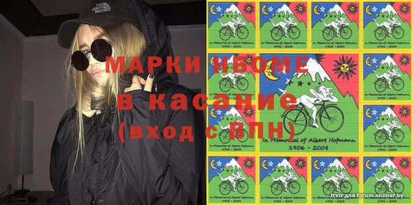 гидра Гусев