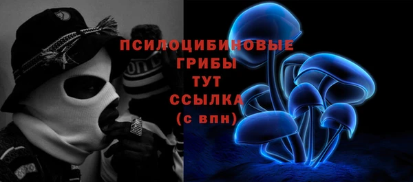 соль ск Гусиноозёрск