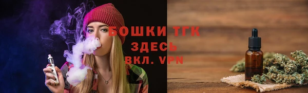 соль ск Гусиноозёрск