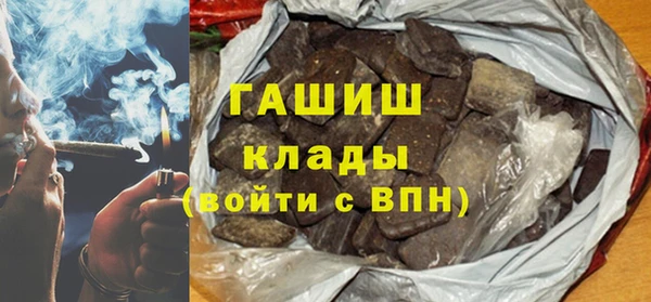 гидра Гусев