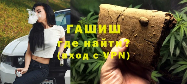 гидра Гусев