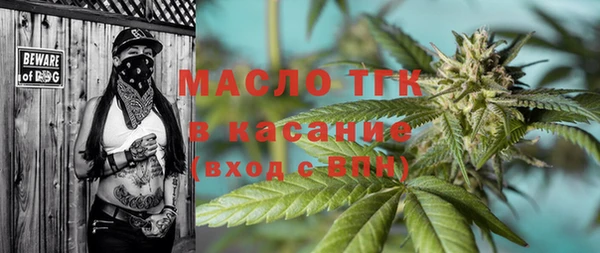 прущие грибы Гусь-Хрустальный
