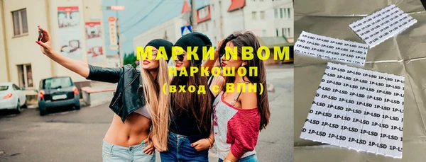 прущие грибы Гусь-Хрустальный