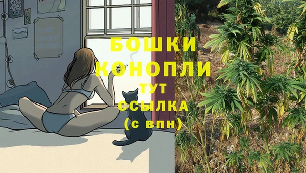 гидра Гусев