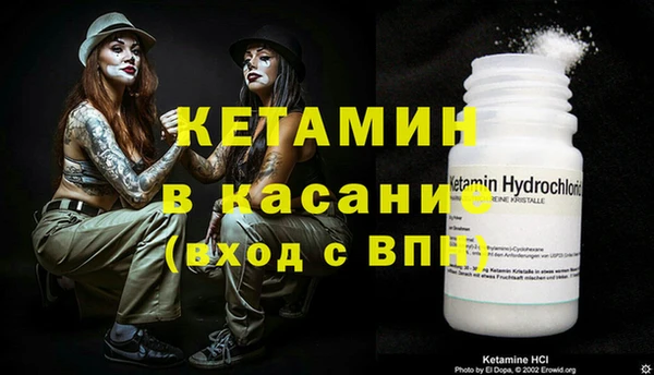 гидра Гусев