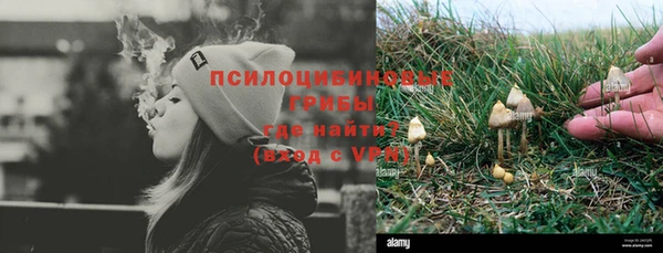 прущие грибы Гусь-Хрустальный