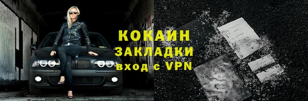 прущие грибы Гусь-Хрустальный